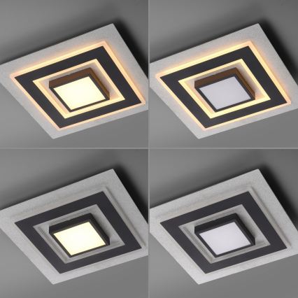 JUST LIGHT. 14439-21 - LED Kattovalaisin CICHIO LED/18,5W/230V + LED/9W 40x40 cm musta