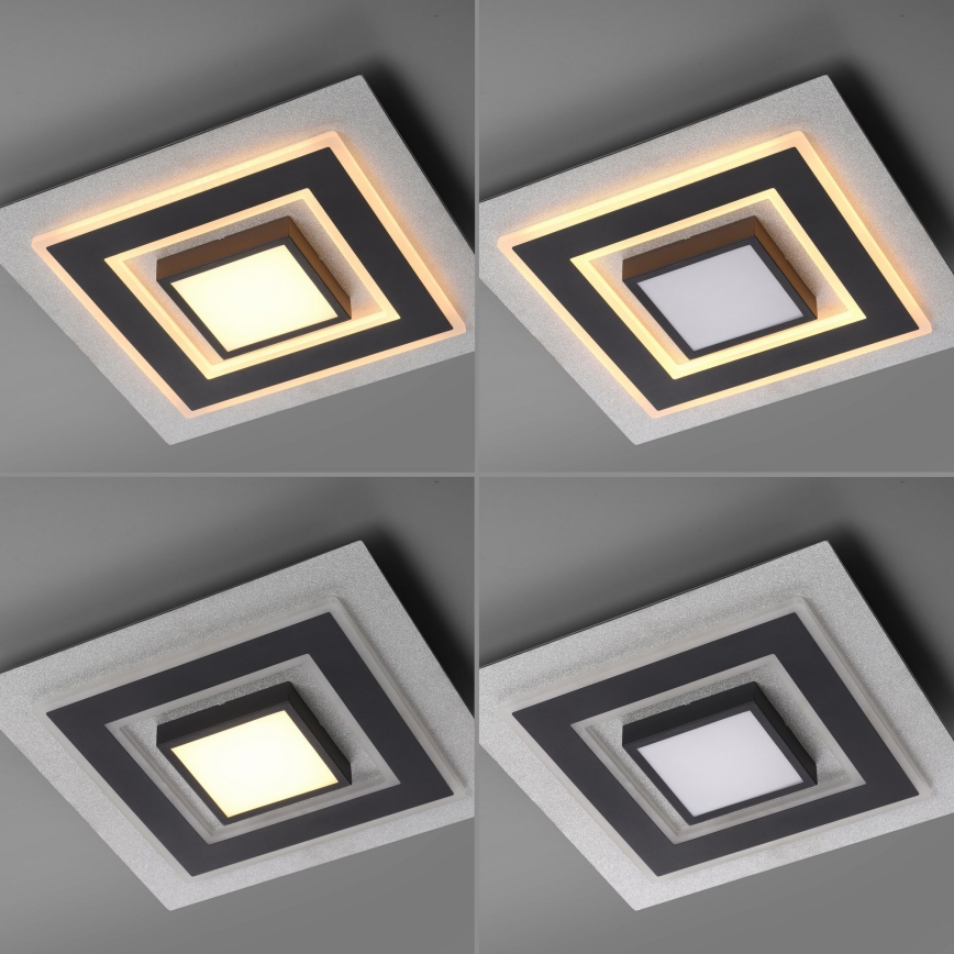 JUST LIGHT. 14439-21 - LED Kattovalaisin CICHIO LED/18,5W/230V + LED/9W 40x40 cm musta