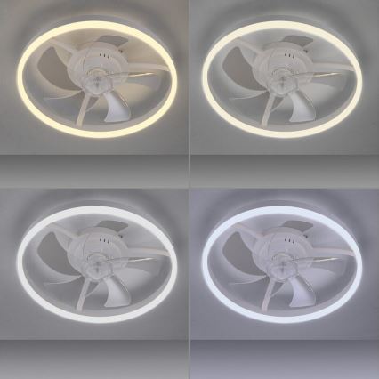 JUST LIGHT. 14624-16 - LED-himmennettävä kattotuuletin integroidulla valolla RITA LED/22W/230V 3000-6000K halkaisija 50 cm valkoinen + kaukosäädin