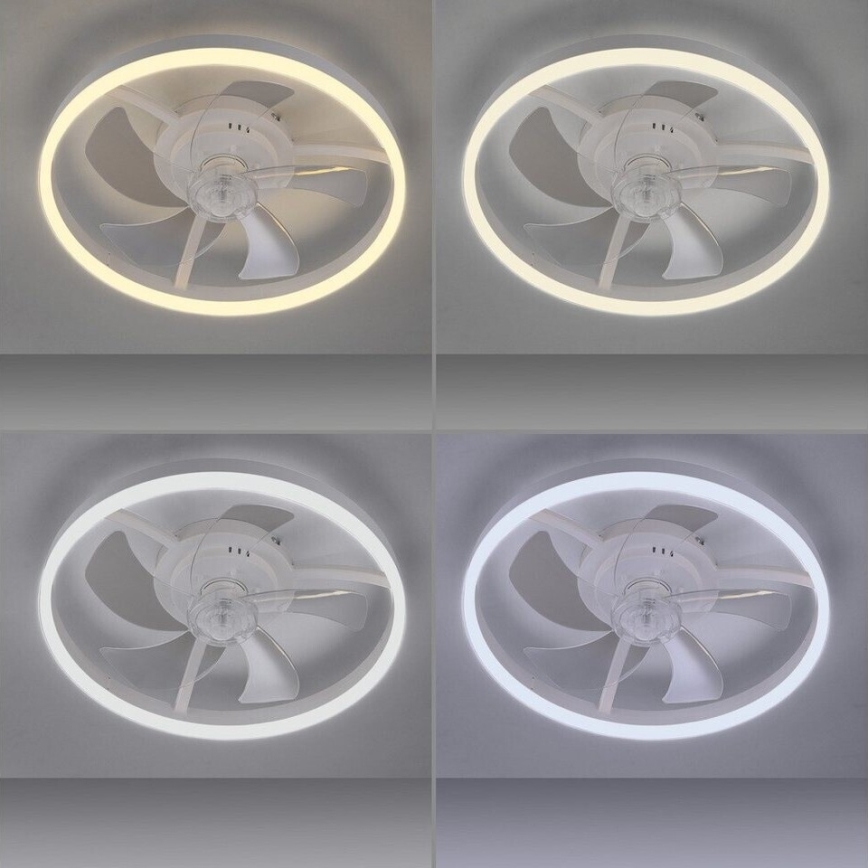 JUST LIGHT. 14624-16 - LED-himmennettävä kattotuuletin integroidulla valolla RITA LED/22W/230V 3000-6000K halkaisija 50 cm valkoinen + kaukosäädin