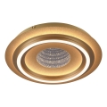 JUST LIGHT. 15089-60 - LED-kattovalaisin CICHIO LED/36W/230V, halkaisija 40 cm, kultainen