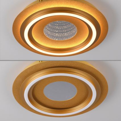 JUST LIGHT. 15089-60 - LED-kattovalaisin CICHIO LED/36W/230V, halkaisija 40 cm, kultainen