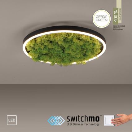 JUST LIGHT. 15391-66 - Himmennettävä LED-kattovalaisin VIHREÄ RITU LED/20W/230V