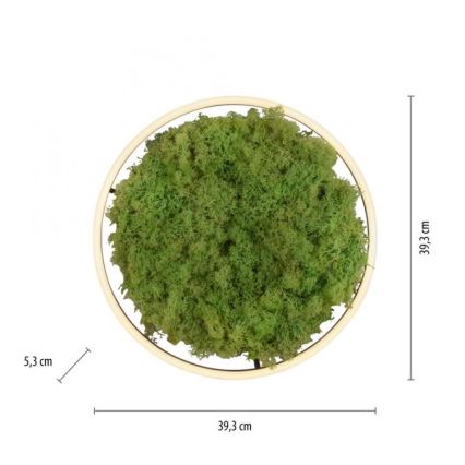 JUST LIGHT. 15391-66 - Himmennettävä LED-kattovalaisin VIHREÄ RITU LED/20W/230V