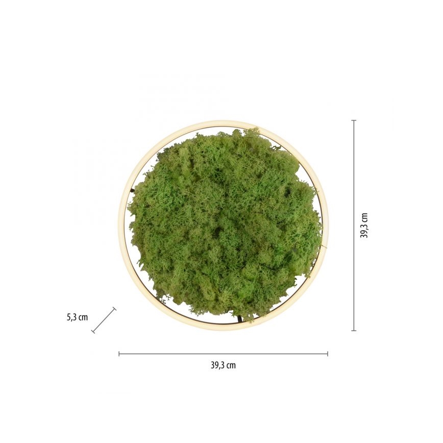JUST LIGHT. 15391-66 - Himmennettävä LED-kattovalaisin VIHREÄ RITU LED/20W/230V