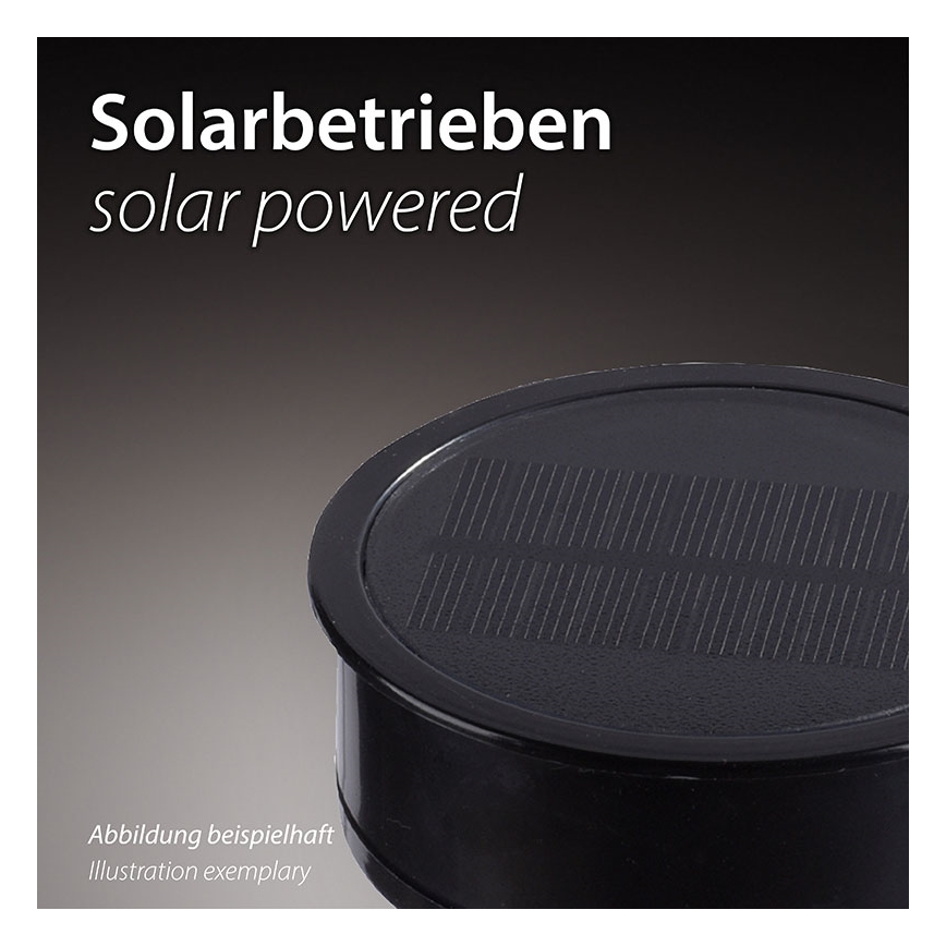 JUST LIGHT. 19106-18-3 - SETTI 3x LED aurinkovalaisin FACKEL LED/0,24W/1,2V 200 mAh IP44 musta