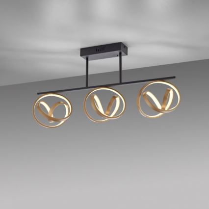 JUST LIGHT. 6245-18 - LED-himmennyskattokruunu LOOP 3xLED/11W/230V 2700-5000K + kauko-ohjaus