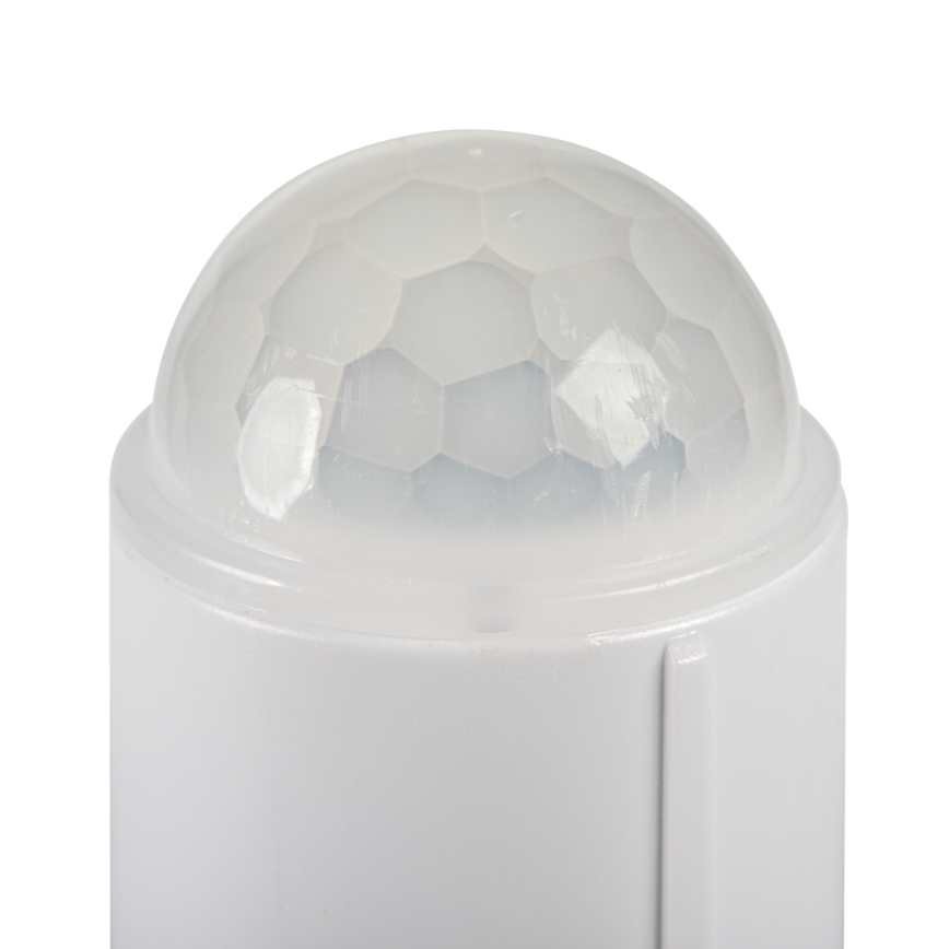 LED-kattovalaisin liike- ja hämärätunnistimella FOGLER LED/24W/230V Ø 38 cm