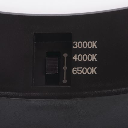 LED Katto/uppovalaisin liiketunnistimella 2-in-1 ERGA LED/17W/230V 3000/4000/6500K musta