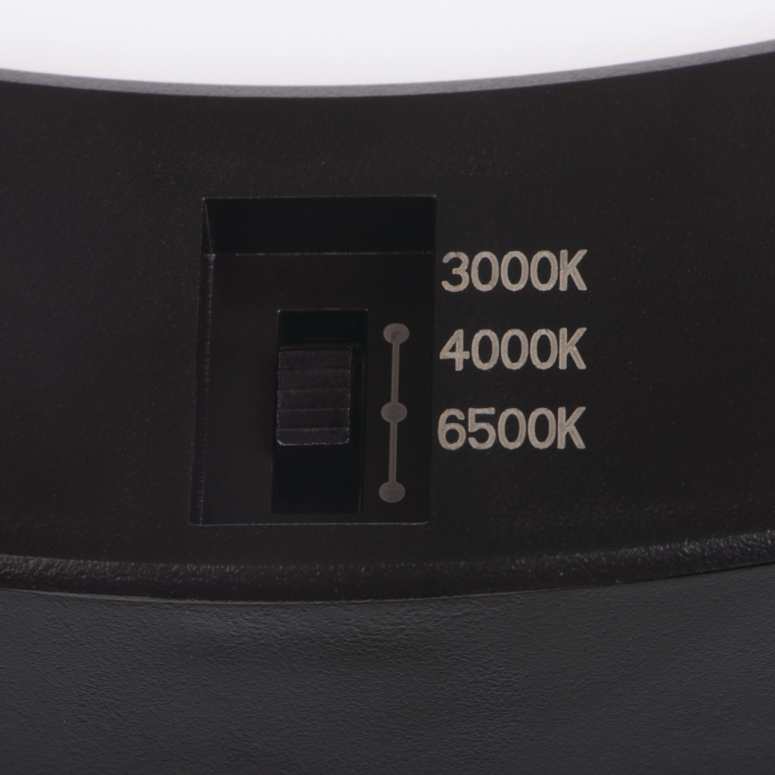LED Katto/uppovalaisin liiketunnistimella 2-in-1 ERGA LED/17W/230V 3000/4000/6500K musta