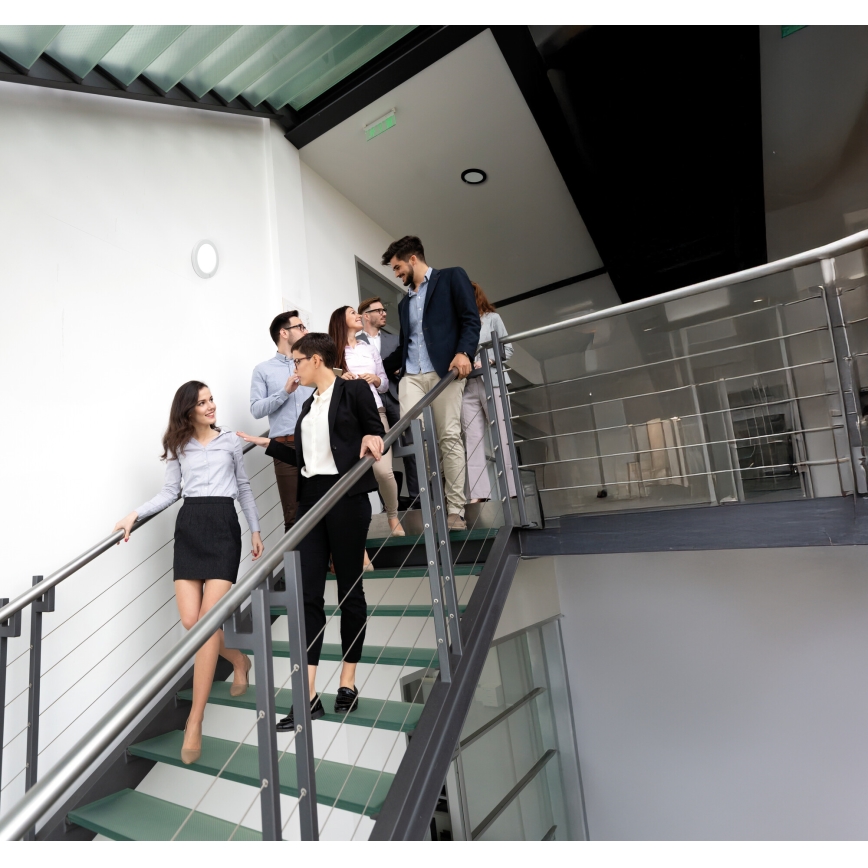 LED Katto/uppovalaisin liiketunnistimella 2-in-1 ERGA LED/17W/230V 3000/4000/6500K valkoinen