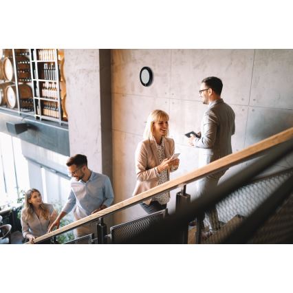 LED-kattovalaisin/alaslaskettava 2-in-1 ERGA LED/17W/230V 3000/4000/6500K musta