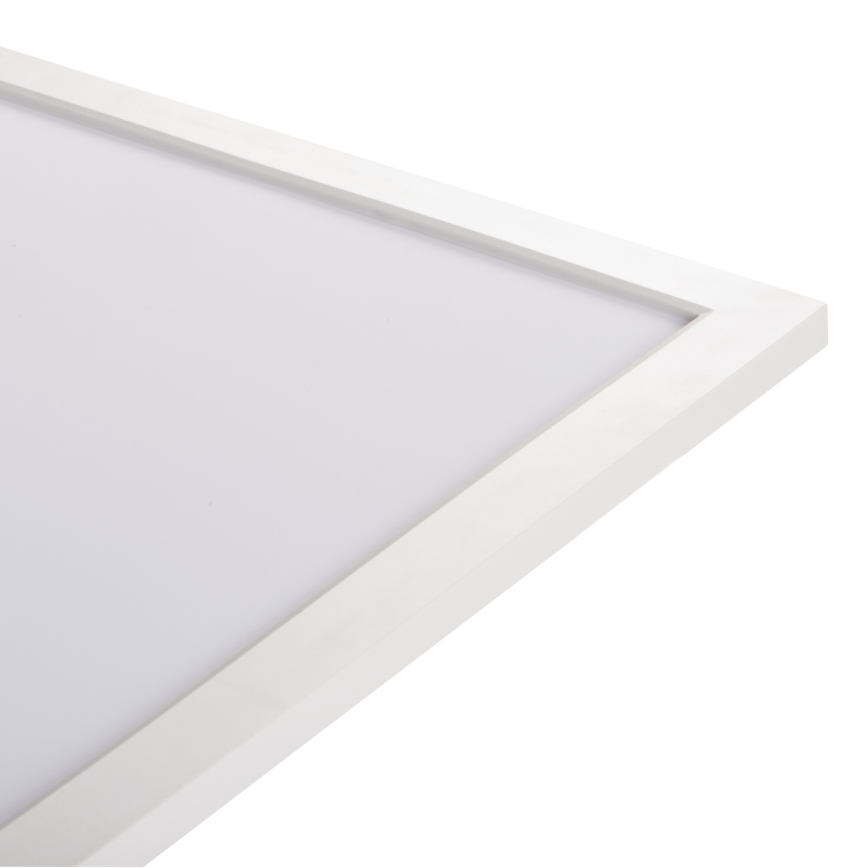 LED-kattopaneeli BAREV ECO LED/36W/230V 4000K 60x60 cm