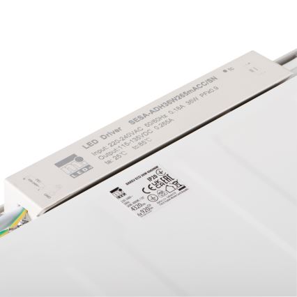 LED-kattopaneeli BAREV ECO LED/36W/230V 4000K 60x60 cm