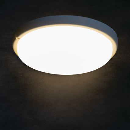 LED-kattovalaisin kylpyhuoneeseen TOLU LED/18W/230V 4000K IP54 valkoinen