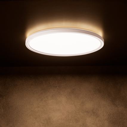 AZPO LED-kattovalaisin 18,5 W / 230 V, 3000/4000/6000 K, halkaisija 29 cm, IP54, valkoinen