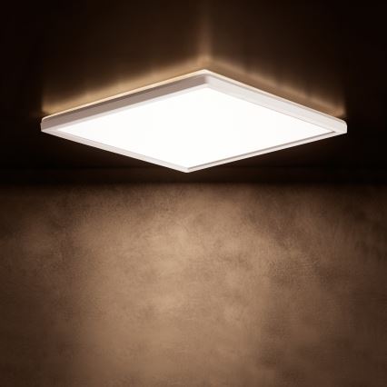 LED kattovalaisin AZPO LED/12,3W/230V 3000/4000/6000K 22,5x22,5 cm IP54 valkoinen