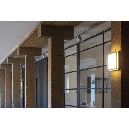 LED-ulkovalaisin anturilla BENO LED/18W/230V 4000K IP54 antrasiitti
