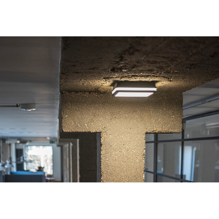 LED-ulkovalaisin anturilla BENO LED/18W/230V 4000K IP54 antrasiitti