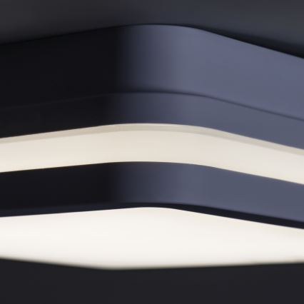 LED-ulkovalaisin anturilla BENO LED/18W/230V 4000K IP54 antrasiitti