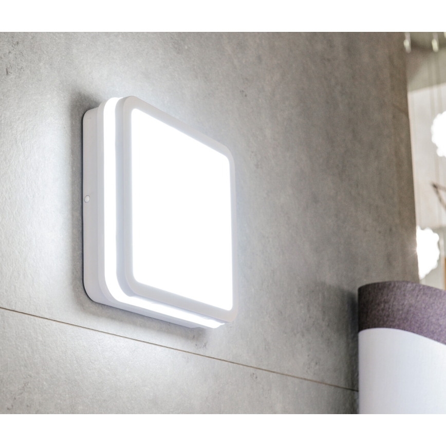LED-ulkokattovalaisin BENO LED/24W/230V IP54 valkoinen