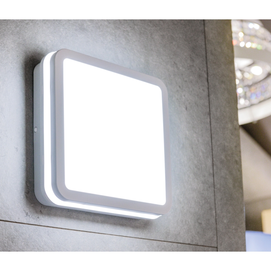 LED-ulkovalaisin anturilla BENO LED/24W/230V IP54 valkoinen