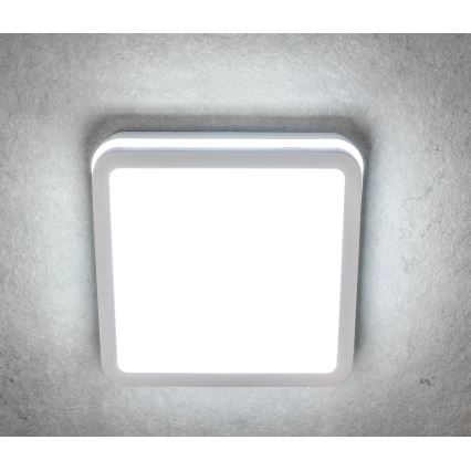 LED-ulkovalaisin anturilla BENO LED/24W/230V IP54 valkoinen