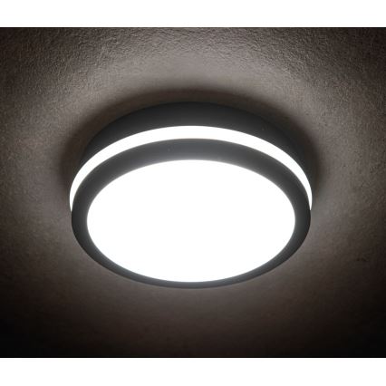 LED-ulkokattovalaisin BENO LED/18W/230V 4000K antrasiitti IP54