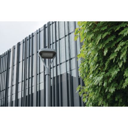 LED-katuvalo PARCOLI LED/30/40/50W/230V 3000/4000/6500K IP66 harmaa