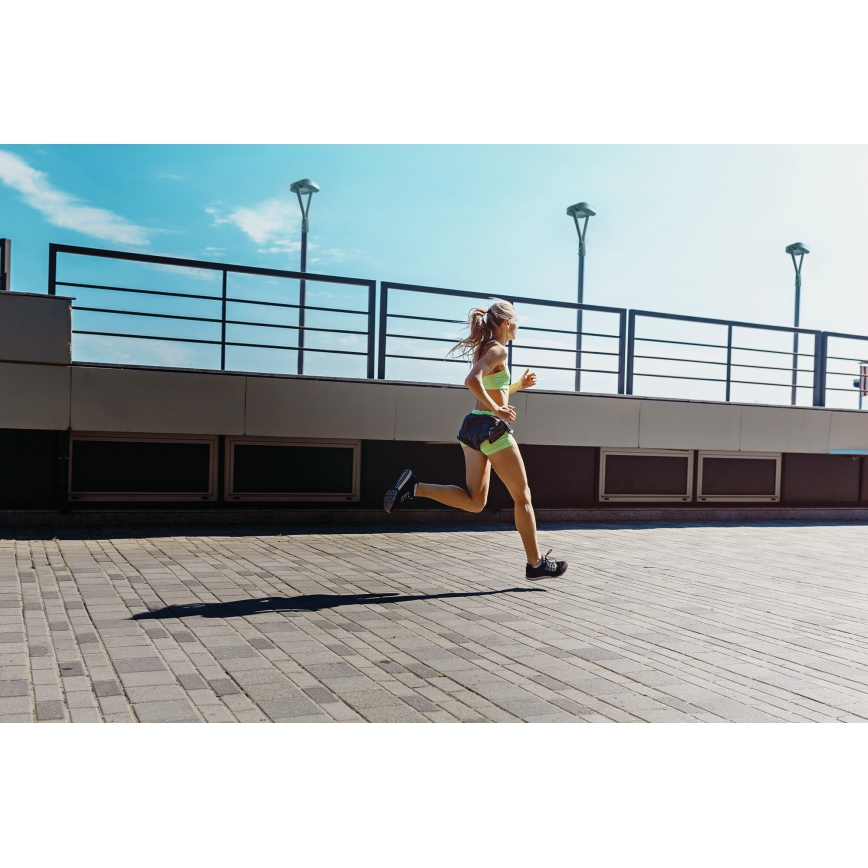 LED-katuvalo PARCOLI LED/30/40/50W/230V 3000/4000/6500K IP66 harmaa