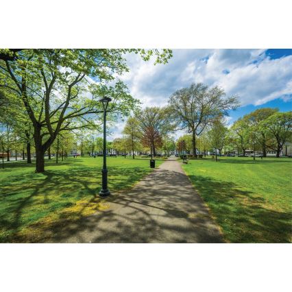 LED-katuvalo PARCOLI LED/30/40/50W/230V 3000/4000/6500K IP66 harmaa