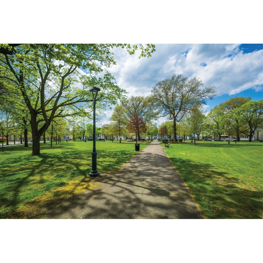 LED-katuvalo PARCOLI LED/30/40/50W/230V 3000/4000/6500K IP66 harmaa