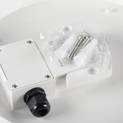 LED-kattotyövalo liiketunnistimella IPER LED/10W/230V IK10 IP65 pyöreä valkoinen