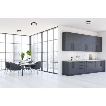 LED-ulkokattovalaisin BENO ECO LED/12W/230V 3000/4000/6500K halkaisija 20 cm IP65 musta