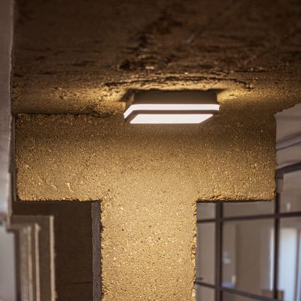 LED-ulkokattovalaisin BENO LED/24/30W/230V 3000/3500/4000K IP65 antrasiitti kulmikas