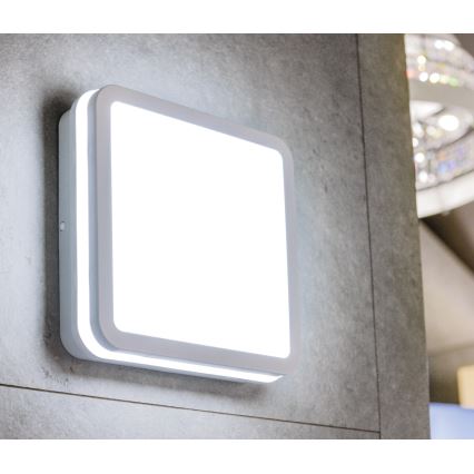 LED-ulkokattovalaisin BENO LED/24/30W/230V 3000/3500/4000K IP65 valkoinen kulmikas