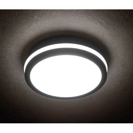 LED-ulkokattovalaisin BENO LED/24/30W/230V 3000/3500/4000K IP65 antrasiitti pyöreä