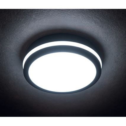 LED-ulkokattovalaisin BENO LED/24/30W/230V 3000/3500/4000K IP65 antrasiitti pyöreä