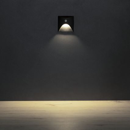 LED-porrasvalaisin liike- ja hämärätunnistimella EXIN LED/2,5W/230V 4000K IP65 musta neliömäinen