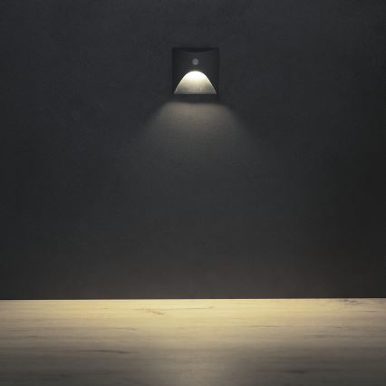 LED-portaiden valaisin liike- ja hämärätunnistimella EXIN LED/2,5W/230V 4000K IP65 antrasiitinharmaa, neliömäinen