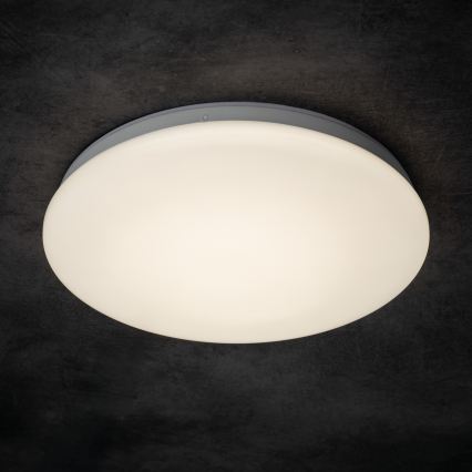 LED-kylpyhuoneen kattovalaisin ENELO LED 10 W 230 V, halkaisija 24 cm, IP44