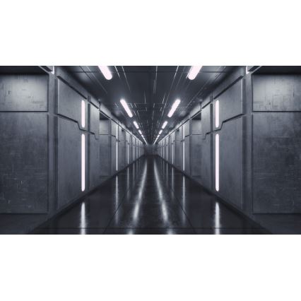 LED-kattovalaisin LINCEA LED/15/20/24W/230V 3000/4000/6500K IK08 IP40