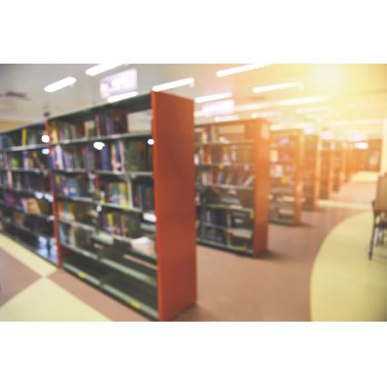 LED-kattovalaisin LINCEA LED/15/20/24W/230V 3000/4000/6500K IK08 IP40