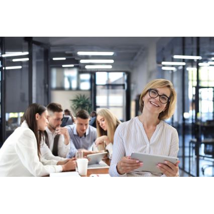 LED-kattovalaisin LINCEA LED/15/20/24W/230V 3000/4000/6500K IK08 IP40