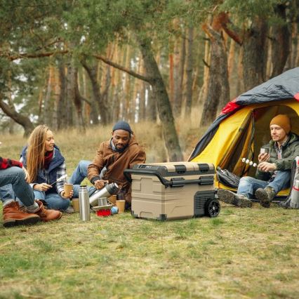 kannettava jääkaappi autoon LCD-näytöllä 39 l 230V/12V/24V ruskea