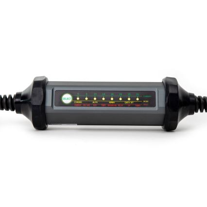 Kannettava sähköauton laturi, jossa 4 Type 2 -adapteria 32A/480V 22kW 5m IP67