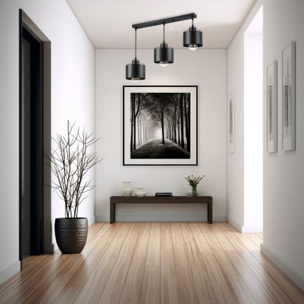 Kattokruunu johdossa 3xE27/35W/230V musta