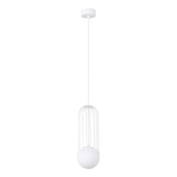 Kattokruunu johdossa BRINA 1xG9/8W/230V valkoinen