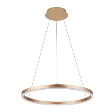 Kattokruunu johdossa DONA LED/32W/230V d. 40 cm