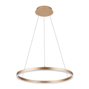 Kattokruunu johdossa DONA LED/42W/230V d. 60 cm